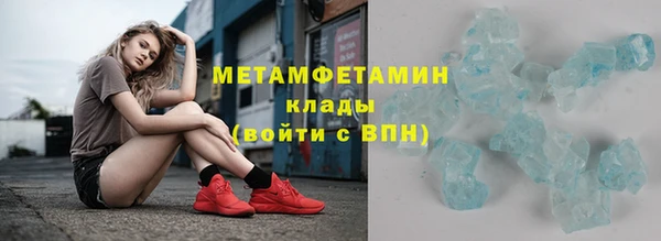 крисы Новозыбков