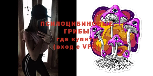 a pvp Алексин