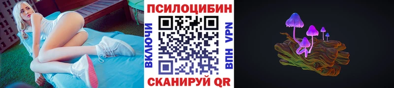 mega tor  Нововоронеж  Псилоцибиновые грибы Psilocybe 