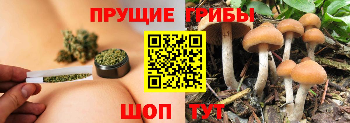 Нововоронеж  Вход с VPN  Кокаин  APVP СОЛЬ кристаллы  Мефедрон   МДМА  КЕТАМИН  ГАШ  Канабис 