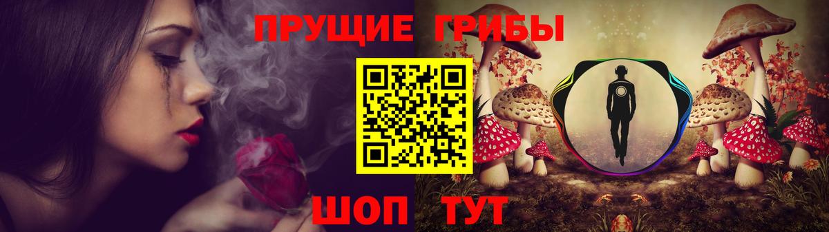 продажа наркотиков  Галлюциногенные грибы прущие грибы  Нововоронеж  Вход с VPN  Псилоцибиновые грибы прущие грибы 